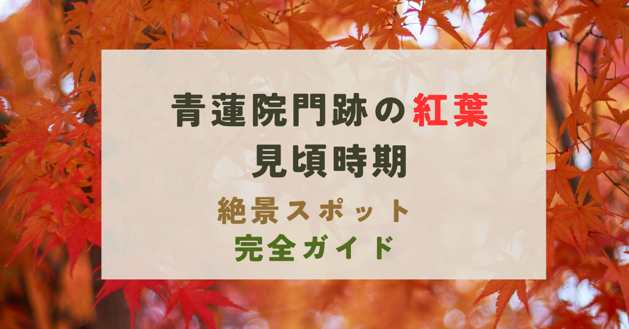 青蓮院門跡の紅葉の見頃