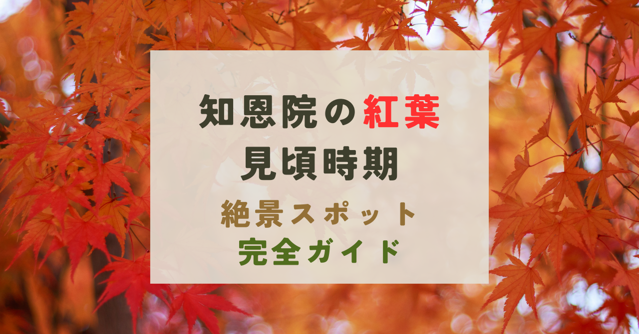 知恩院の紅葉の見頃