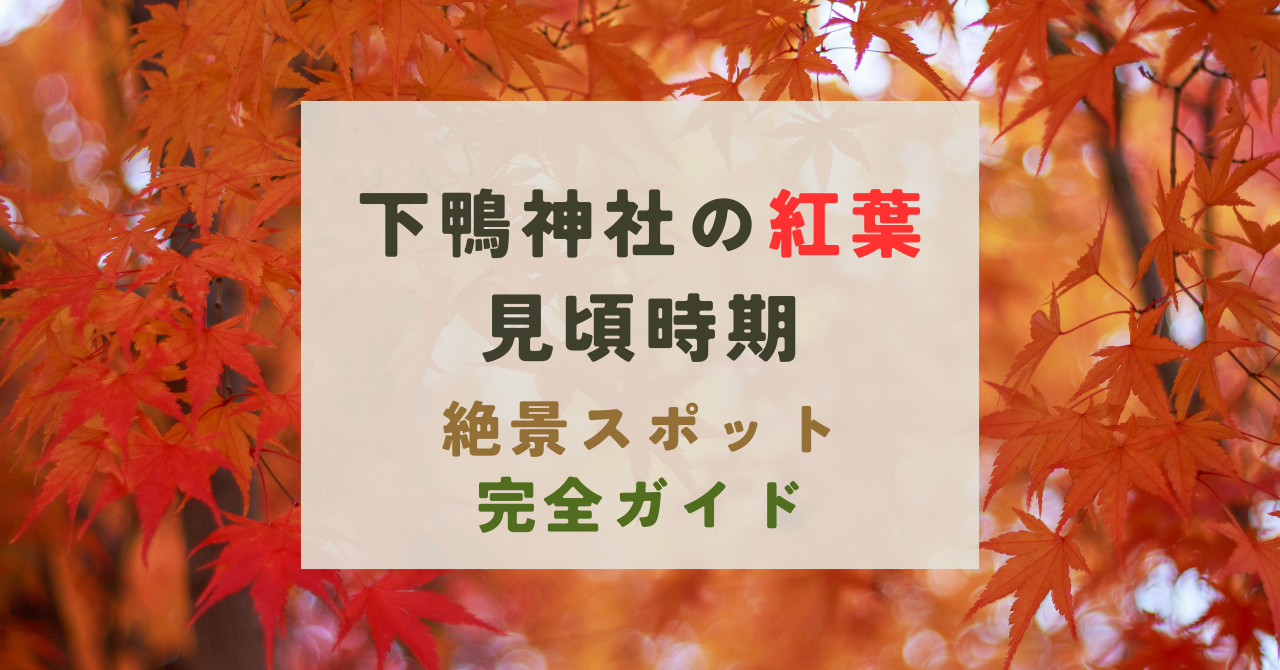 下鴨神社の紅葉の見頃