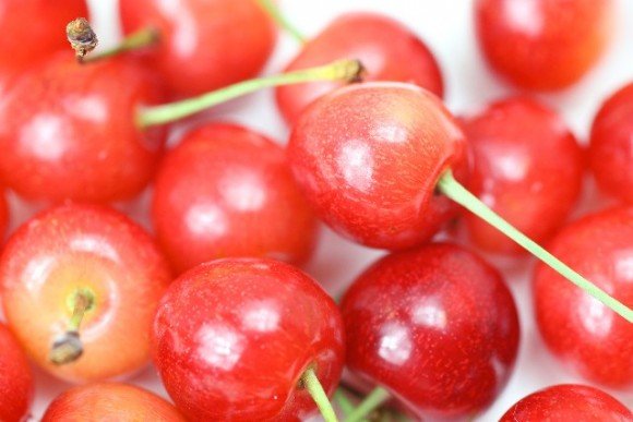 福島県のさくらんぼ狩り