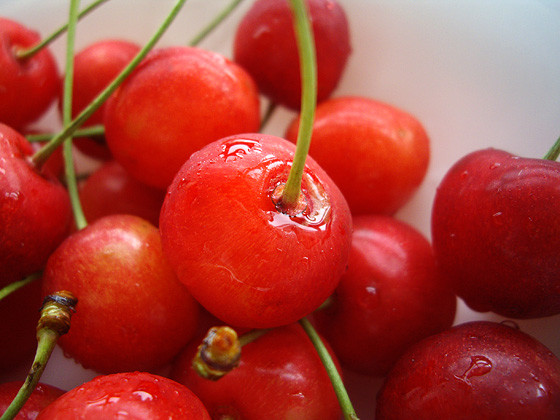 北海道さくらんぼ狩り