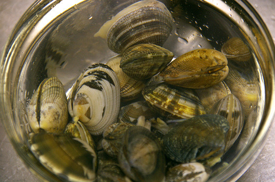 兵庫県の潮干狩り