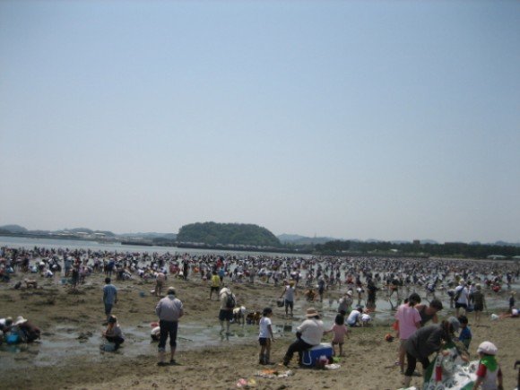 神奈川県の潮干狩り