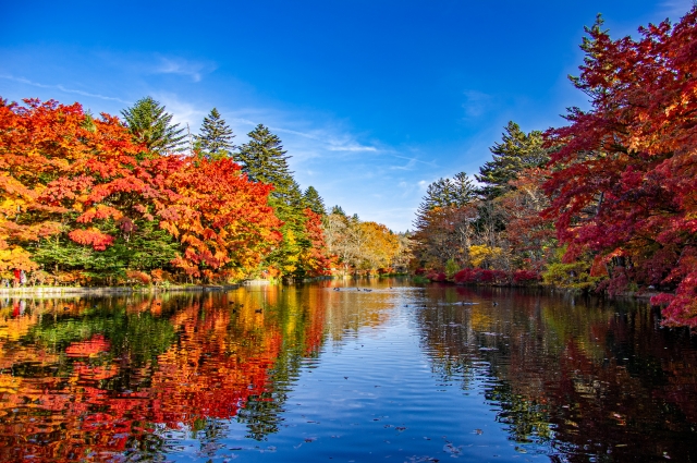雲場池の紅葉