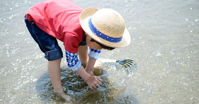 香川県の潮干狩り