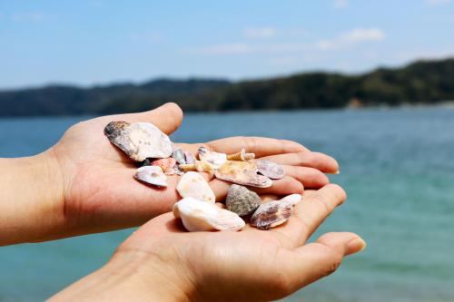 宮崎県の潮干狩り