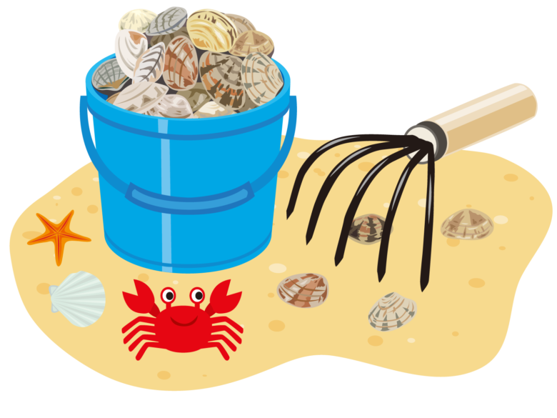 徳島県の潮干狩り