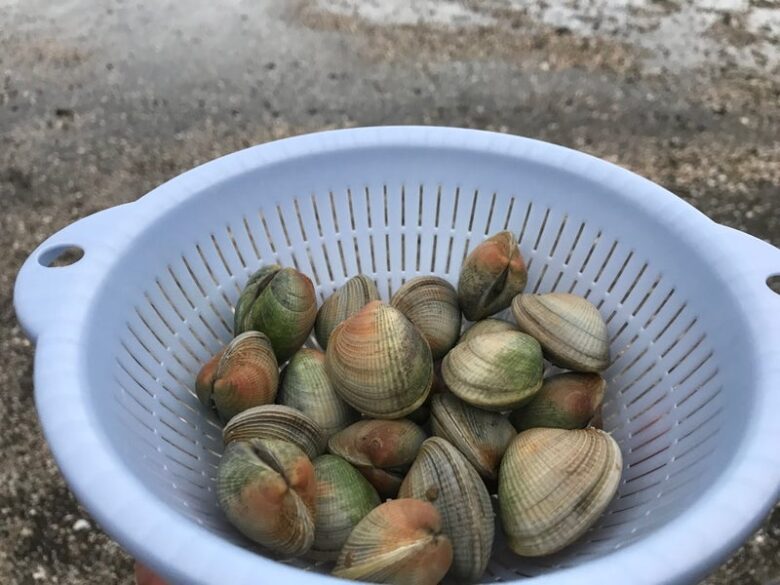 東京都の潮干狩り