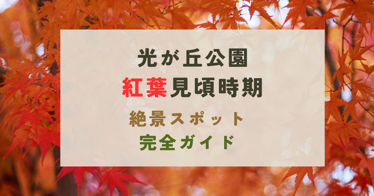 光が丘公園の紅葉