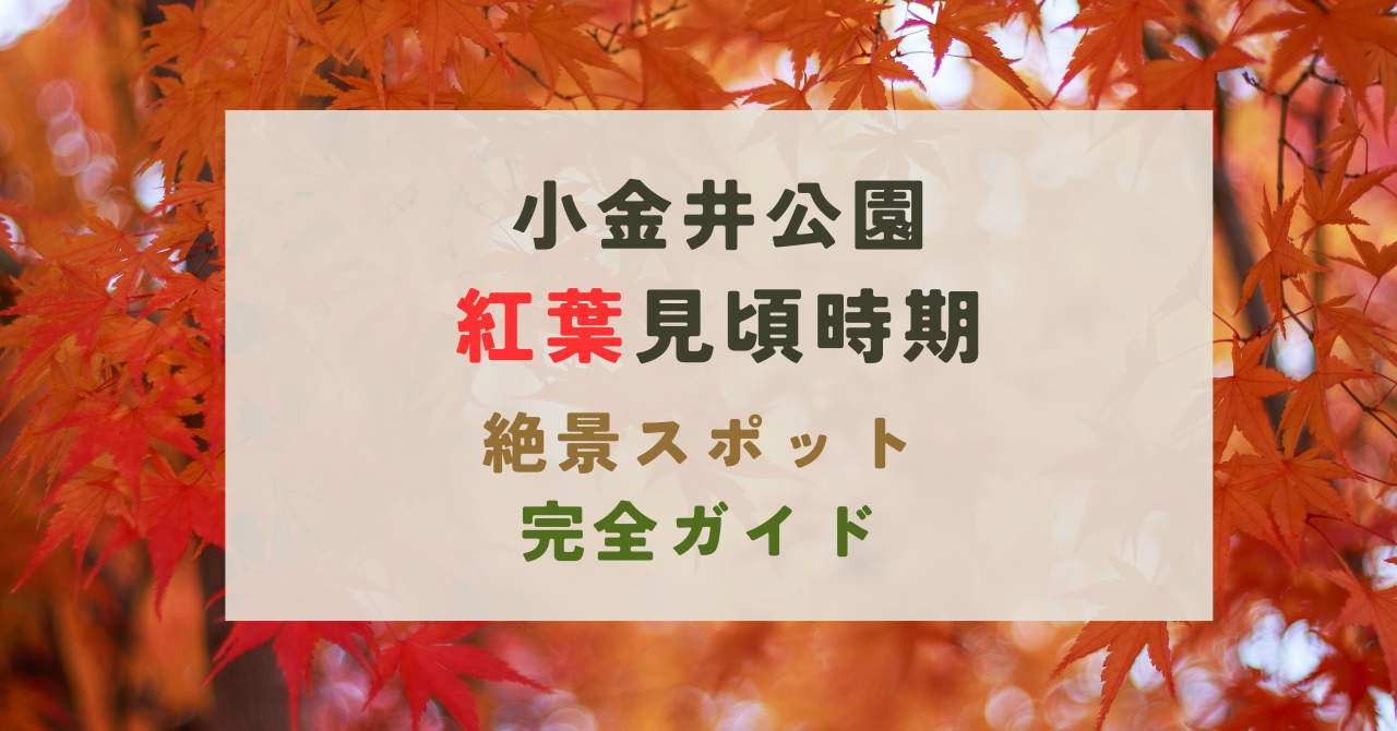 小金井公園の紅葉