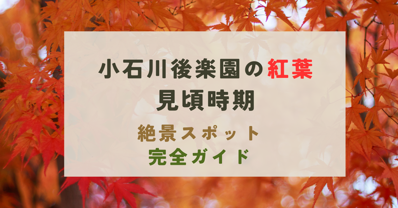 小石川後楽園の紅葉の見頃