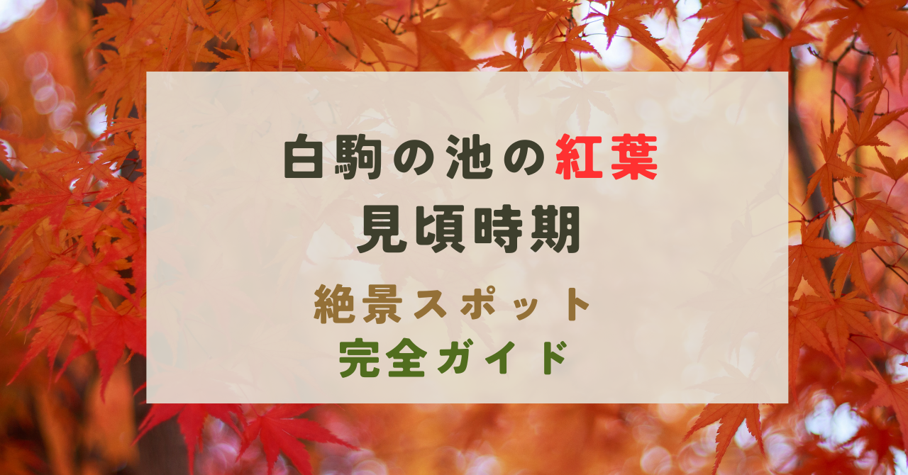 白駒の池の紅葉の見頃