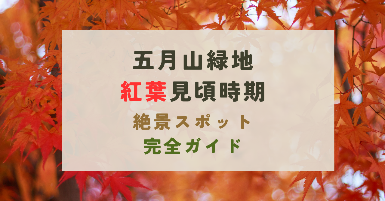 五月山緑地の紅葉