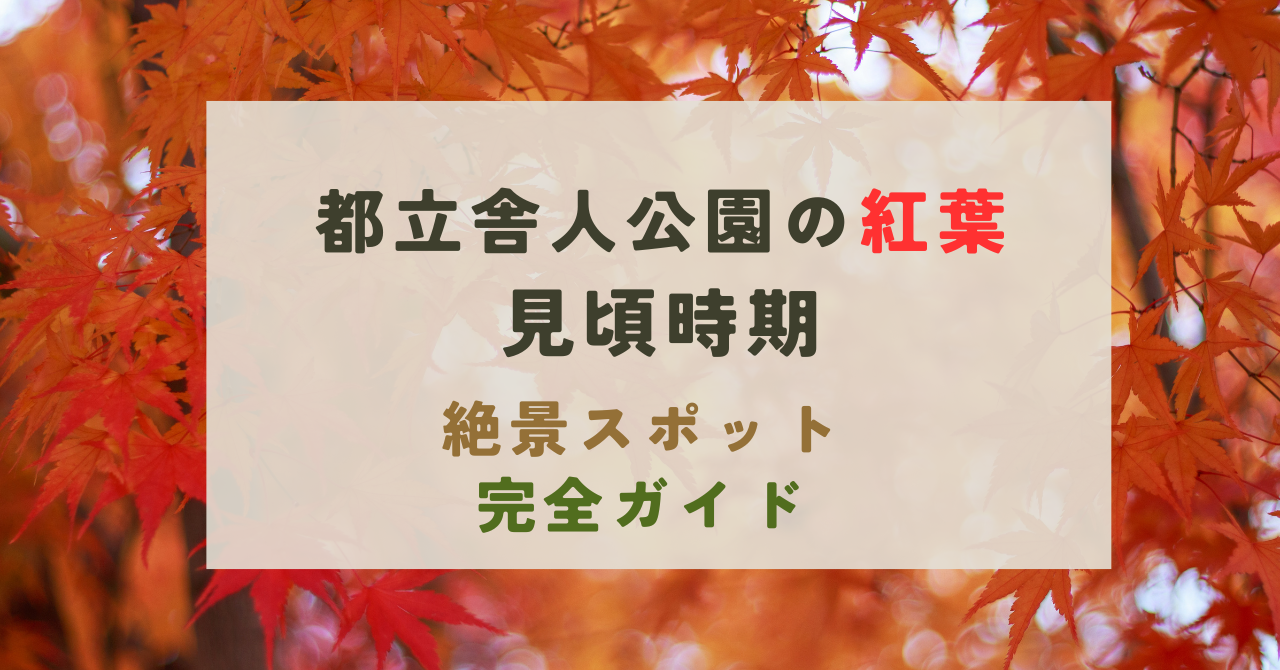 都立舎人公園の紅葉の見頃