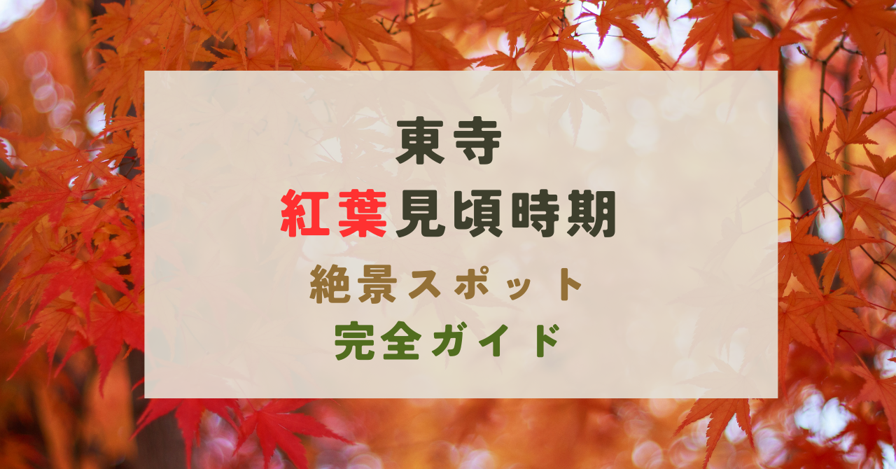 東寺の紅葉の見頃