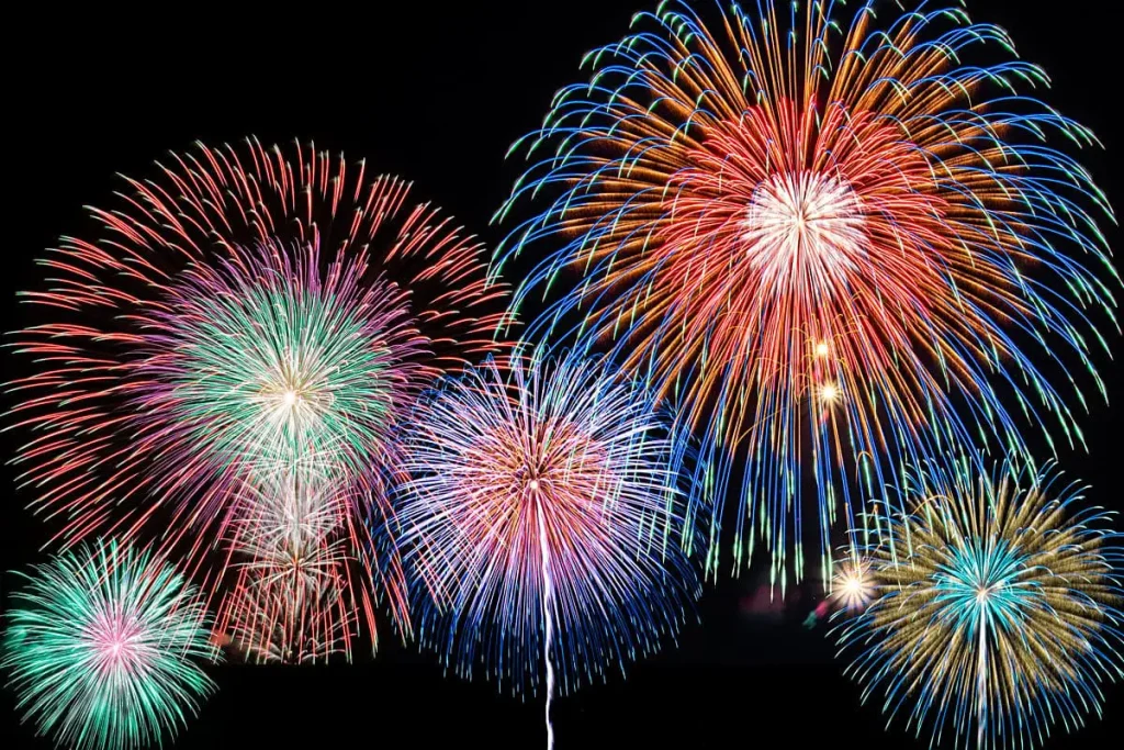 東京競馬場シティポップ花火