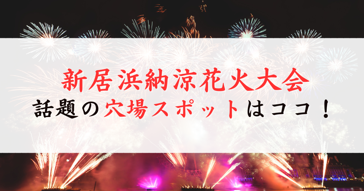新居浜納涼花火大会2025の穴場
