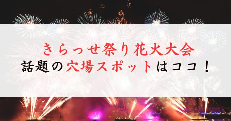 きらっせ祭り花火大会の穴場